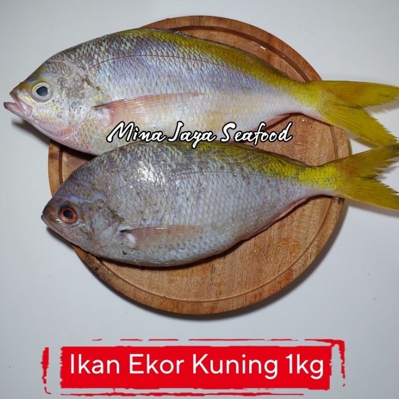 

Ikan Ekor Kuning 1KG / FREE SUDAH DIBERSIHKAN