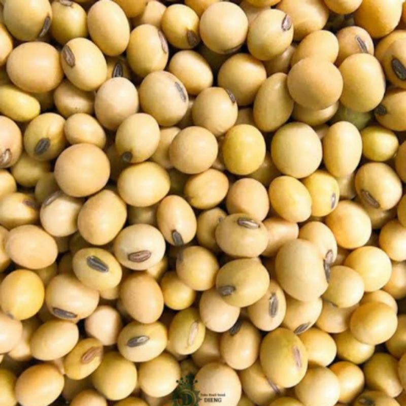 

kacang kedelai import 500gr(GRADE.A)Kacang kedelai soybean