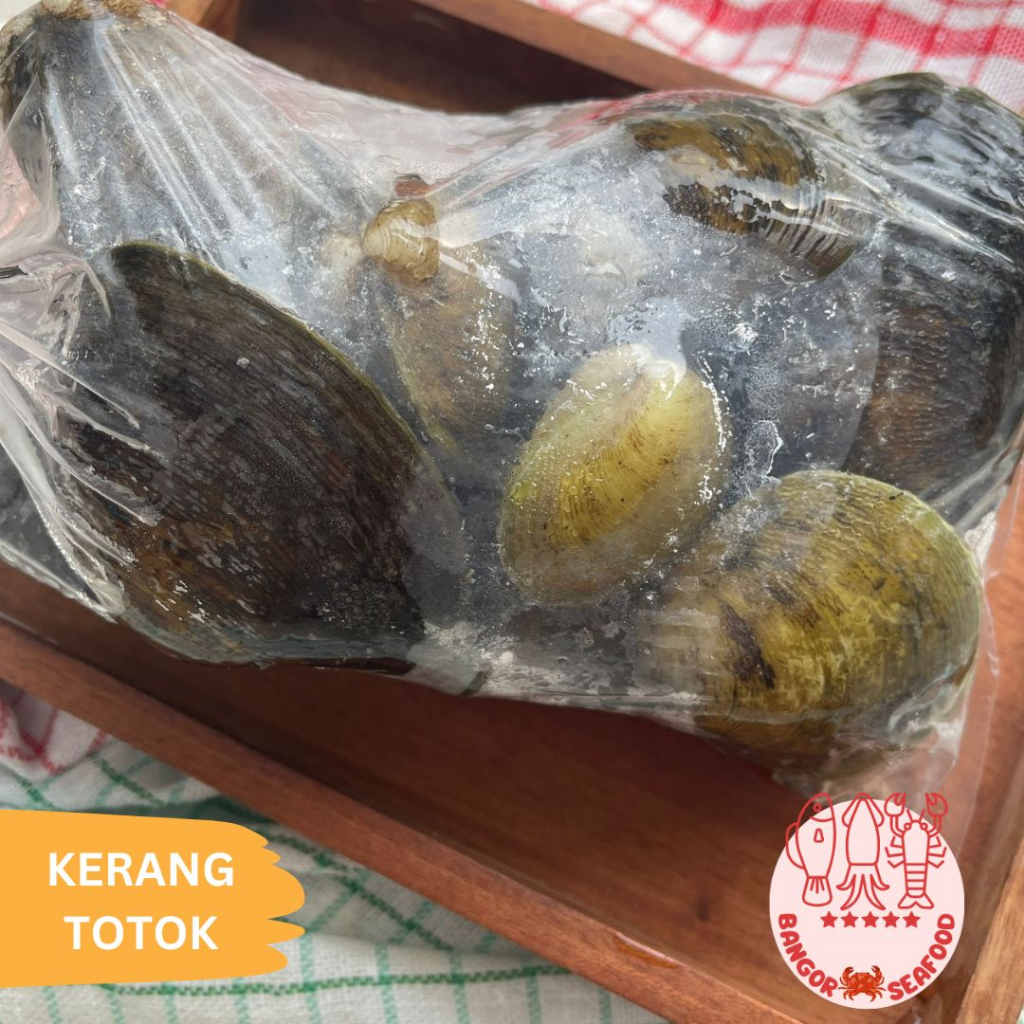 

BANGOR SEAFOOD - KERANG TOTOK JIMBARAN KEPAH FROZEN