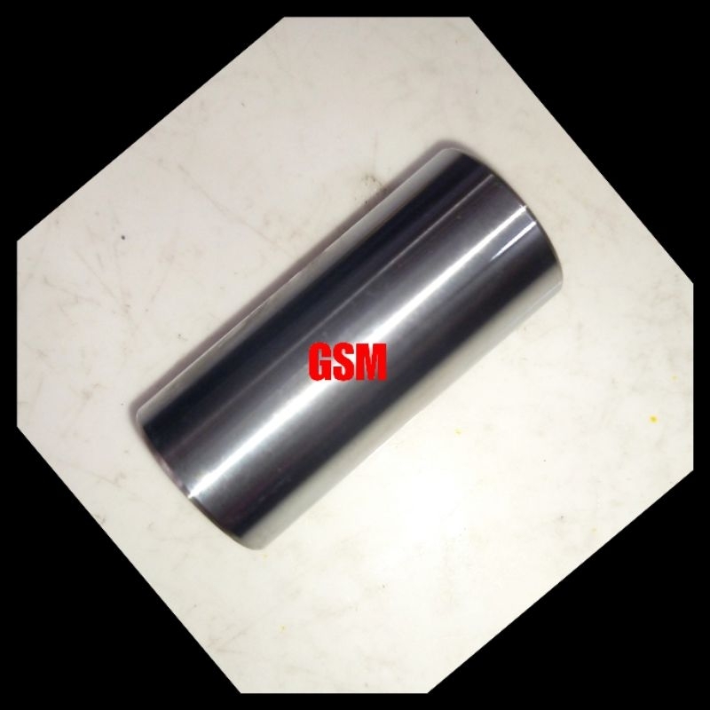 Bosh Rumah Roller Xeon/Xeon RC