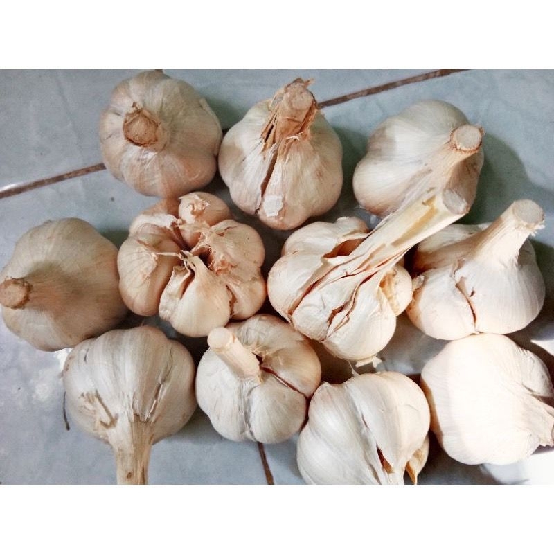 

bawang putih kating 1kg