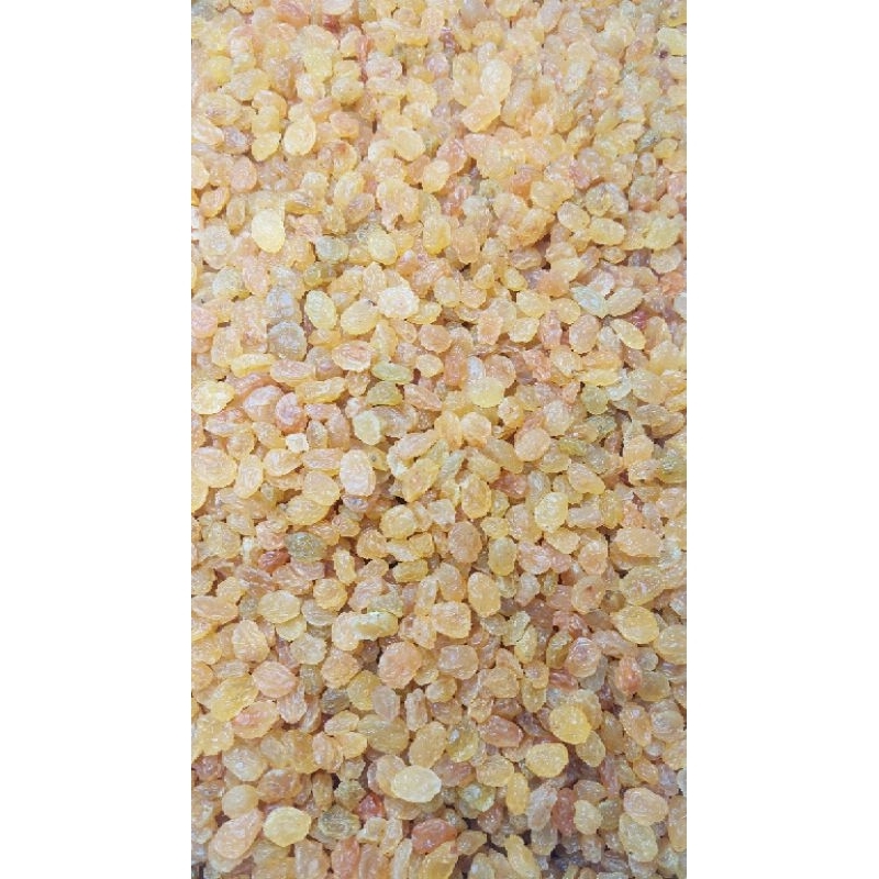 

golden Raisins Iran /kismis iran 1kg