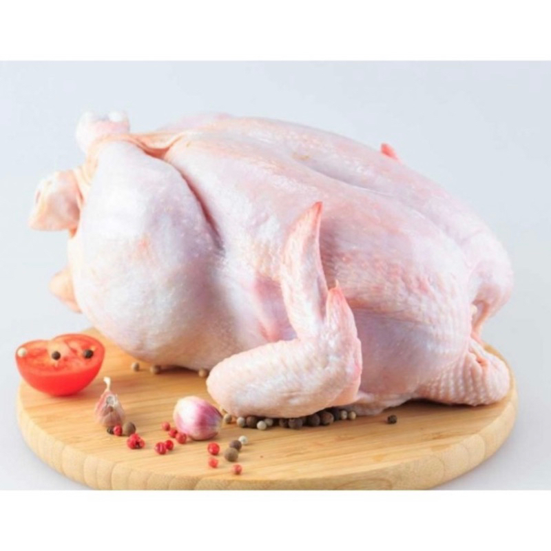 

AYAM KARKAS BROILER FROZEN 500-1000 GRAM