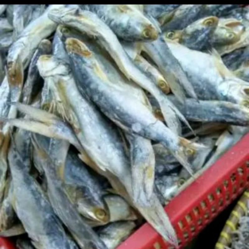 

Ikan Asin Sinangin Khas Medan 250 gr