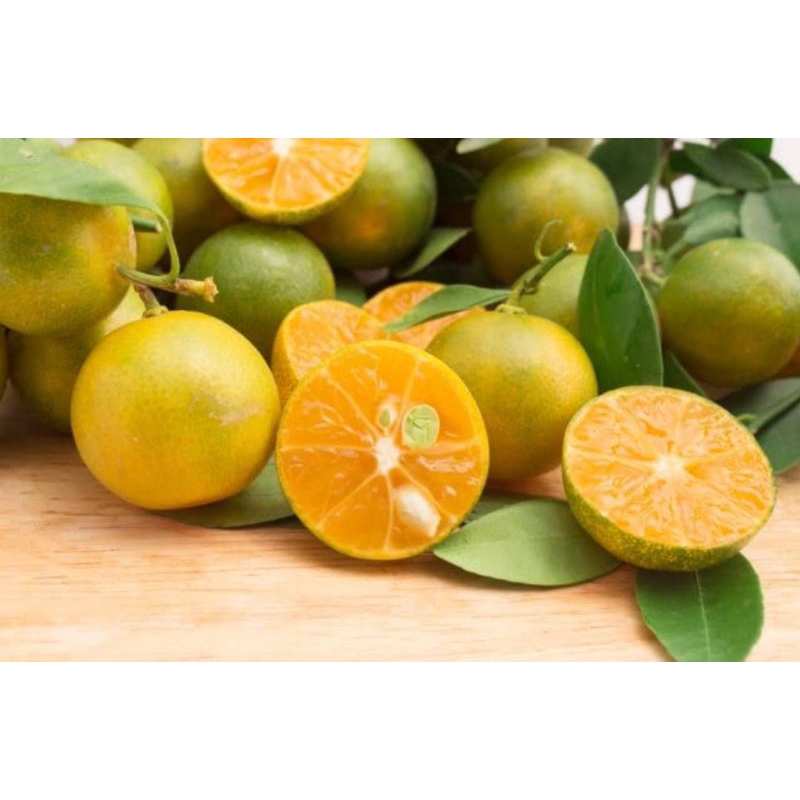 

10 KG Jeruk Sonkit Kuning/Matang