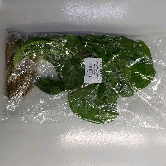 

Daun Sendoan Sendok Sendokan Segar fresh 100 gram Denpasar Bali