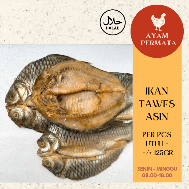 

Ikan Asin Tawes Besar Premium Natural Tanpa Pengawet - AyamFreshPermata Ayam Permata