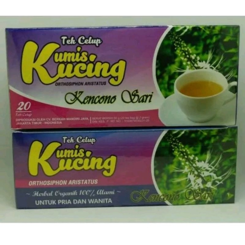 

Teh herbal kumis kucing