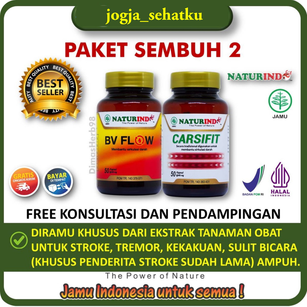 Stroke Ringan Berat Pasca Stroke Bells Palsy Stroke Berat Carsifit Naturindo