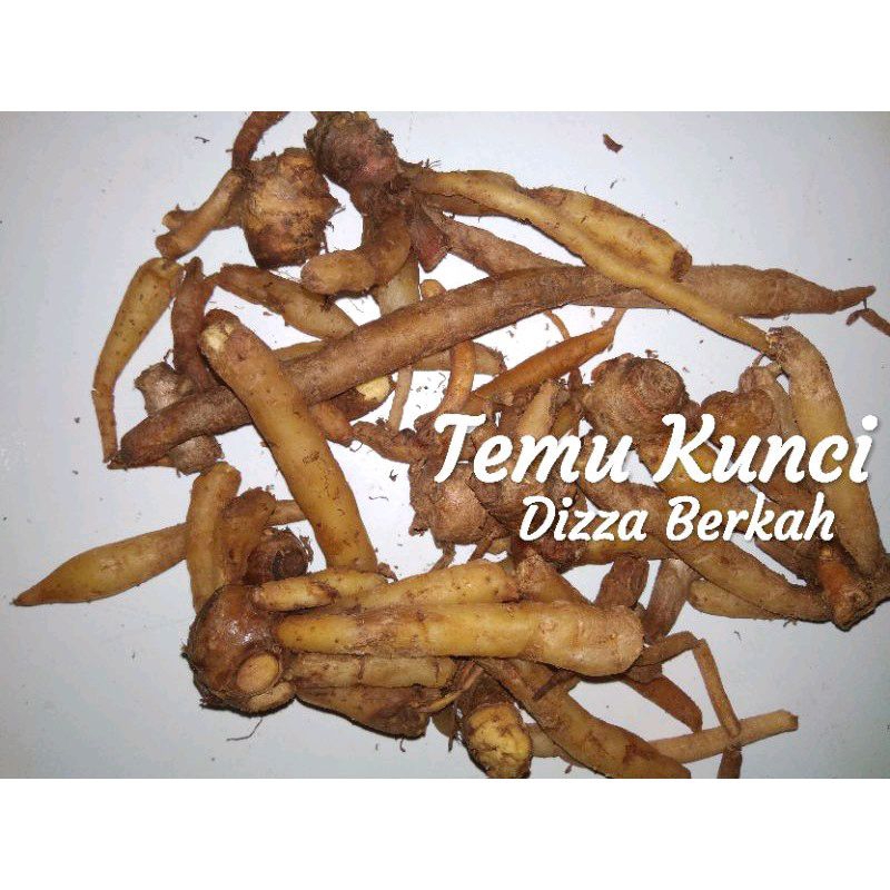

TEMU KUNCI/1 bungkus/Dizza Berkah