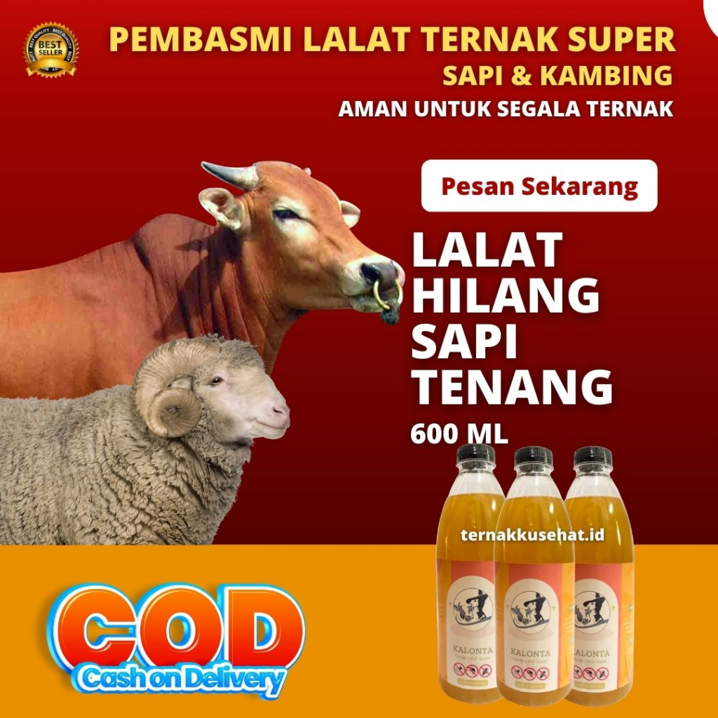 Obat pembasmi lalat pitak untuk sapi dan kambing 600 ML |  RACUN LALAT | OBAT LALAT SAPI RACUN | SAP