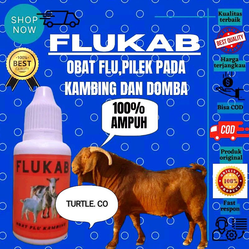 Obat Batuk Pilek Kambing Domba Super Ampuh