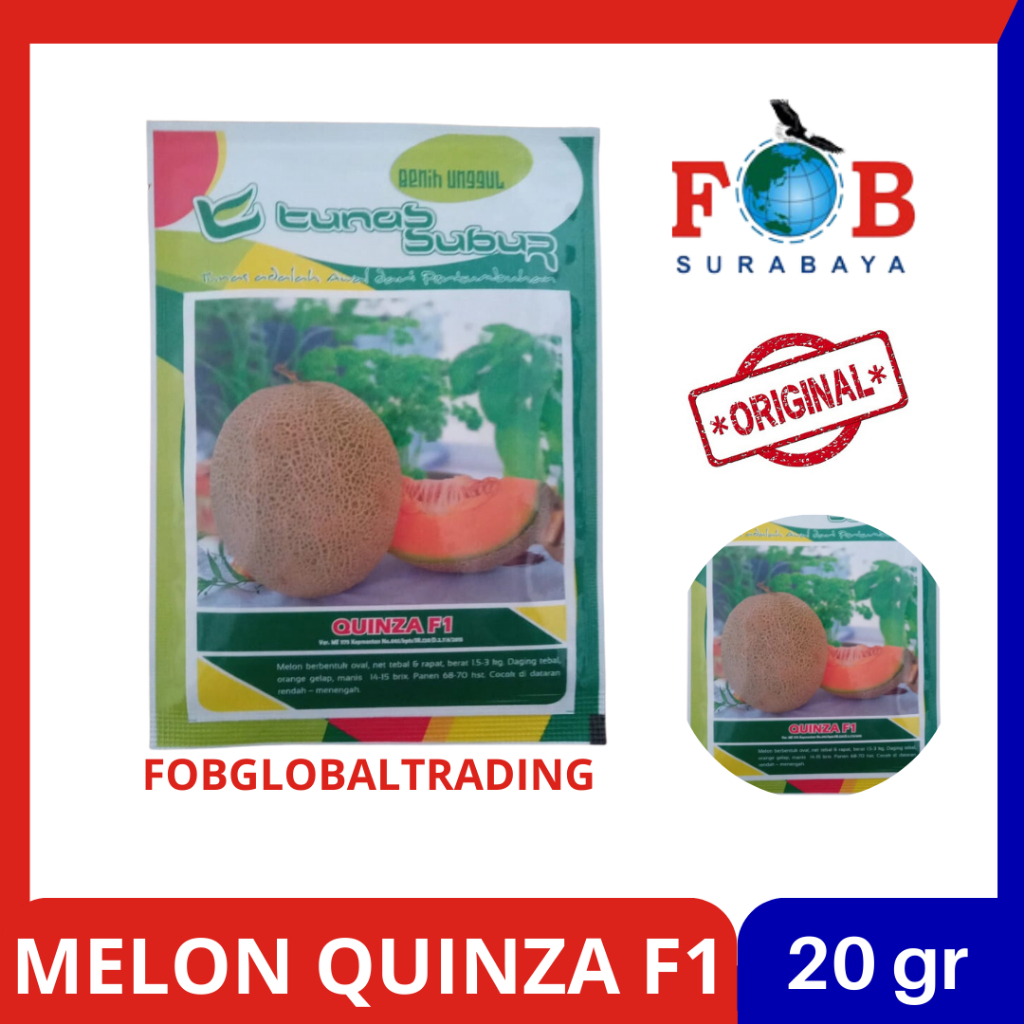 BENIH MELON QUINZA F1 20 GRAM TUNAS SUBUR