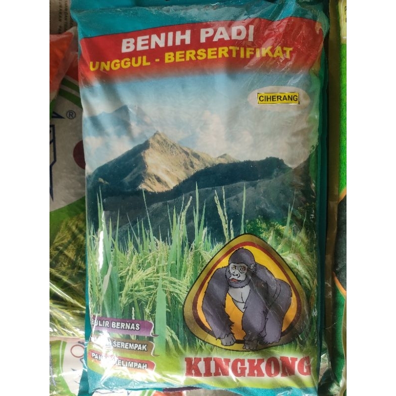 BENIH PADI CIHERANG KINGKONG KEMASAN 5 KG