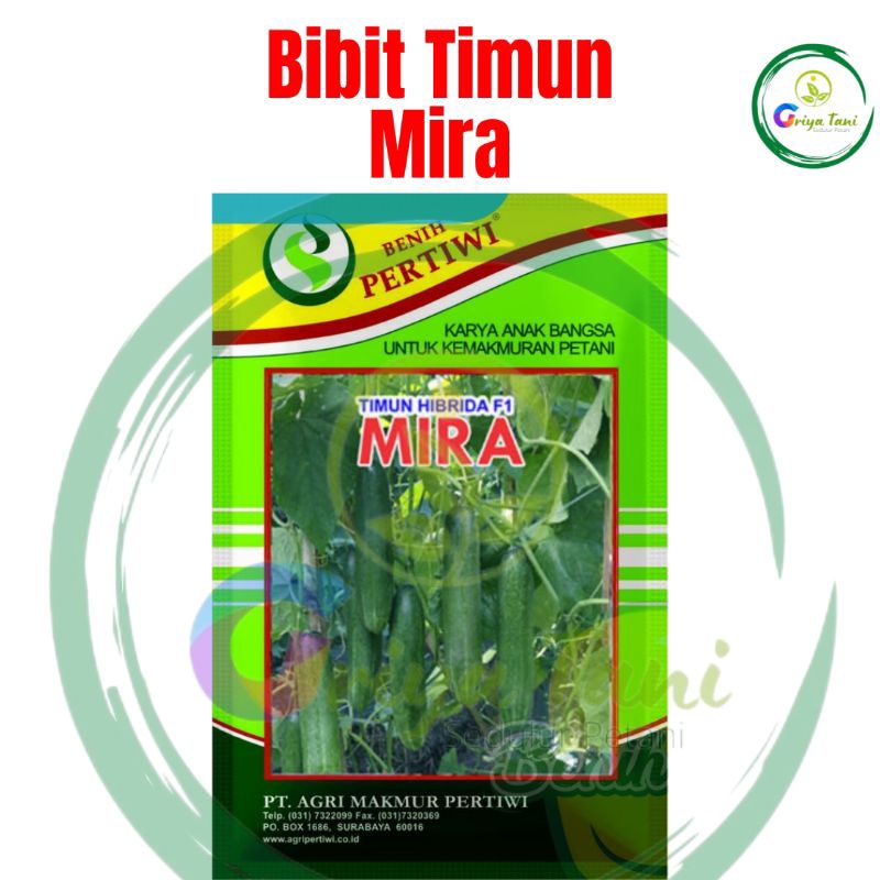 Benih Timun Mira 25Gram Benih Timun Pertiwi