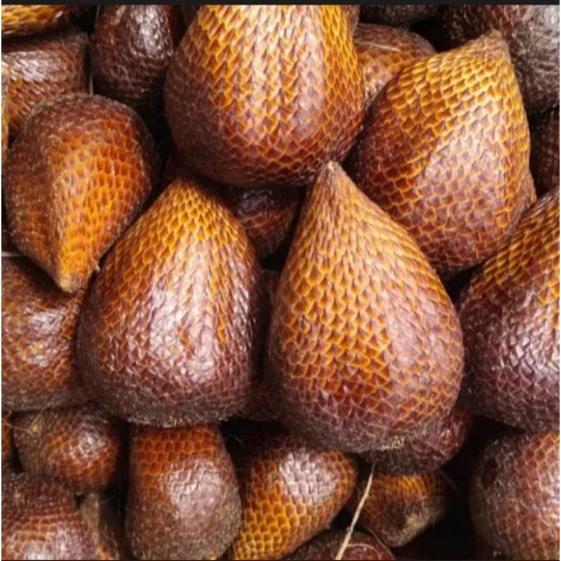 

Salak pondok Jumbo super