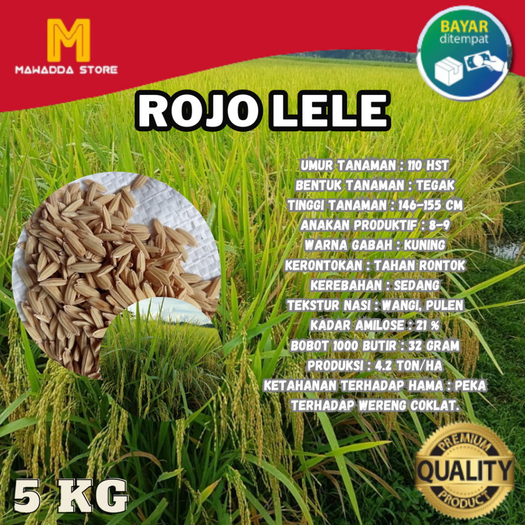 Benih Padi Rojolele Rojo Lele Bibit Unggul Rajalele 5kg