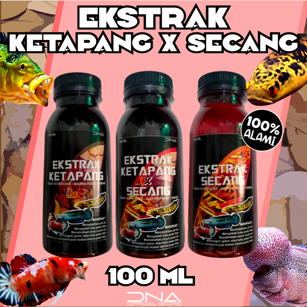 Ekstrak DAUN KETAPANG x KAYU SECANG Pekat 100 ML Tidak Berminyak untuk segala jenis ikan Channa Arwa