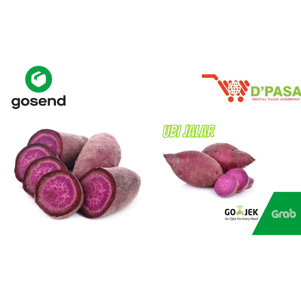 

KIRIM INSTAN Ubi Ungu Mentah 1Kg Fresh
