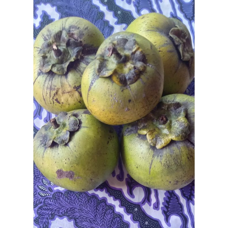BUAH BLACK SAPOTE