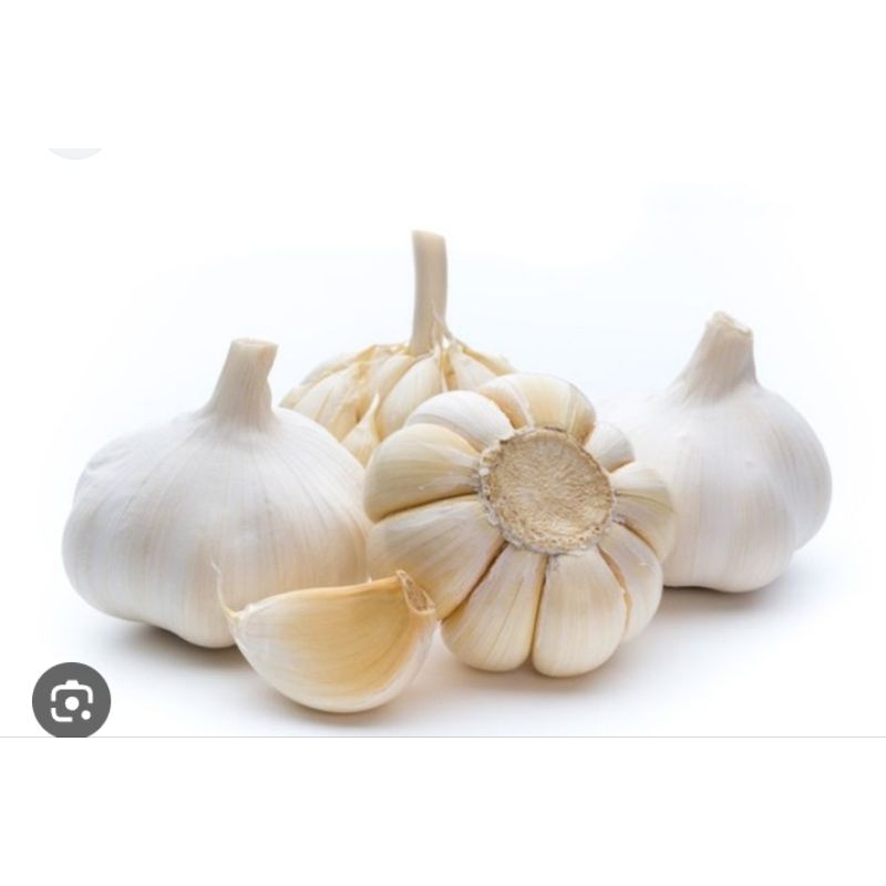 

Bawang putih