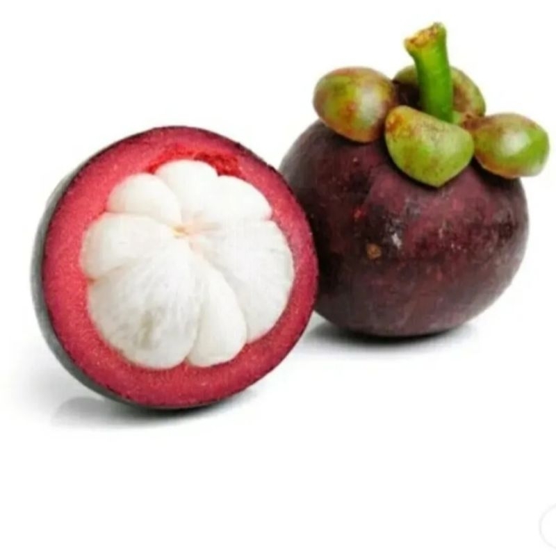 

Buah Manggis