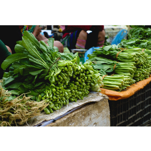 

RB Caisim Sawi Manis Choy Sum Chinese Flower Cabbage 1 kg