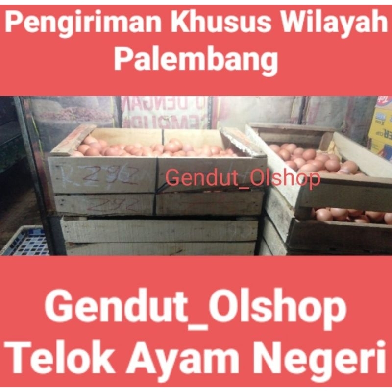 Telur Ayam Negeri Telor Ayam Negeri (Harga Untuk 1 Peti isi 15Kg) Palembang (Pengiriman khusus Wilayah Palembang)