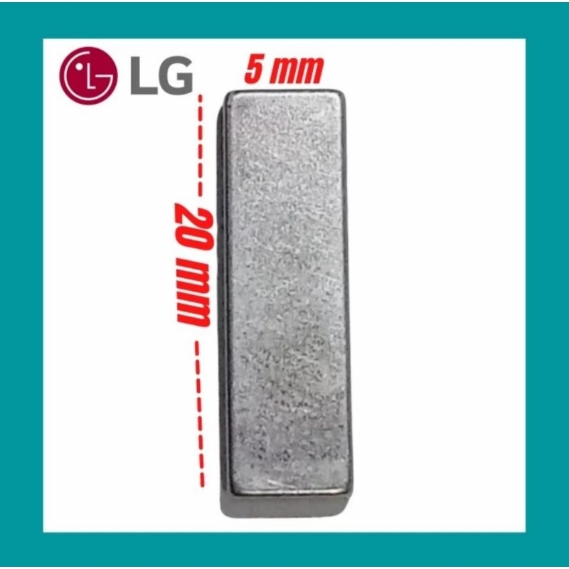 Magnet Pintu Mesin Cuci LG Turbo Drum Fuzzy Logic
