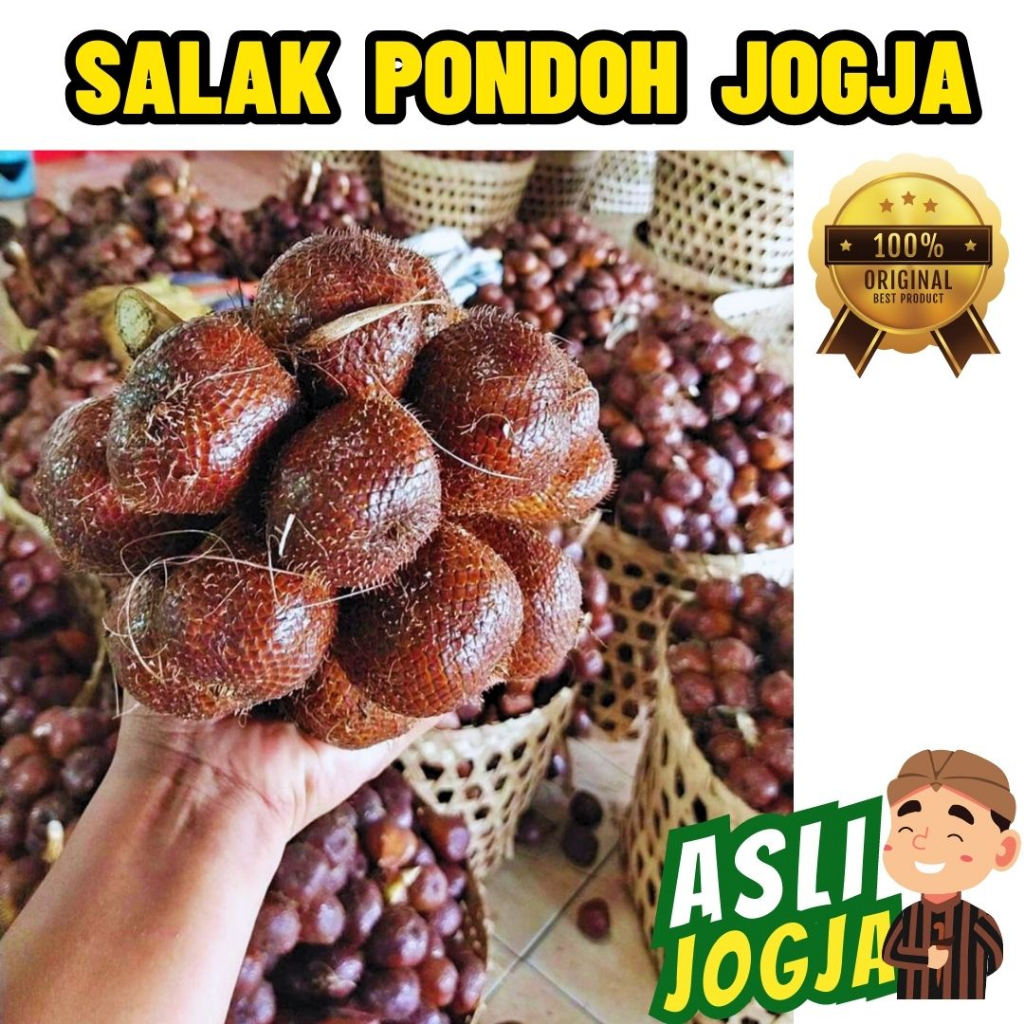 

Buah salak asli Jogja / Buah salak pondoh manis asli Jogja / Buah salak madu manis asli jogja / Buah salak berkualitas / petani buah salak Jogja