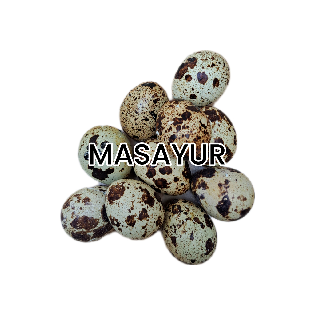 

Telur Puyuh Matang 9 - 10 Butir