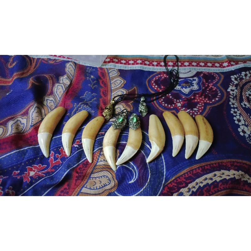 Liontin.Taring.harimau