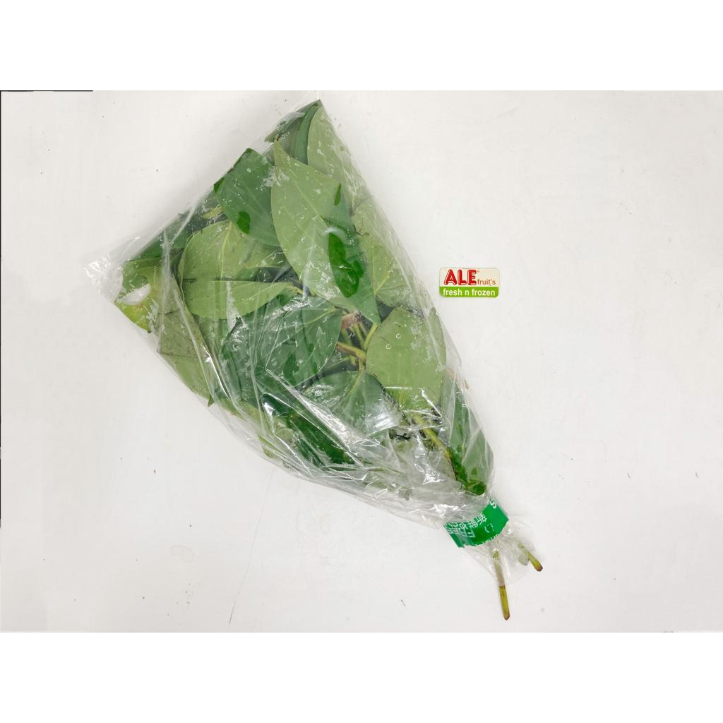 

Daun sirih fresh, daun sirih, daun sirih segar