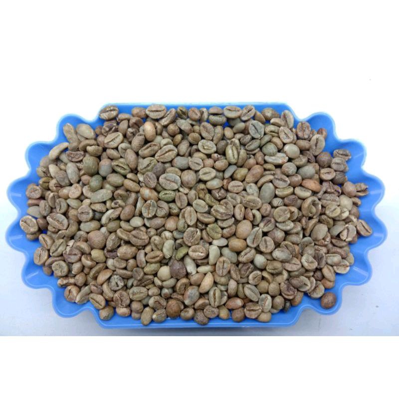 

GRADE 1 ROBUSTA GREEN BEAN / BIJI KOPI MENTAH ROBUSTA LAMPUNG - 1 KG