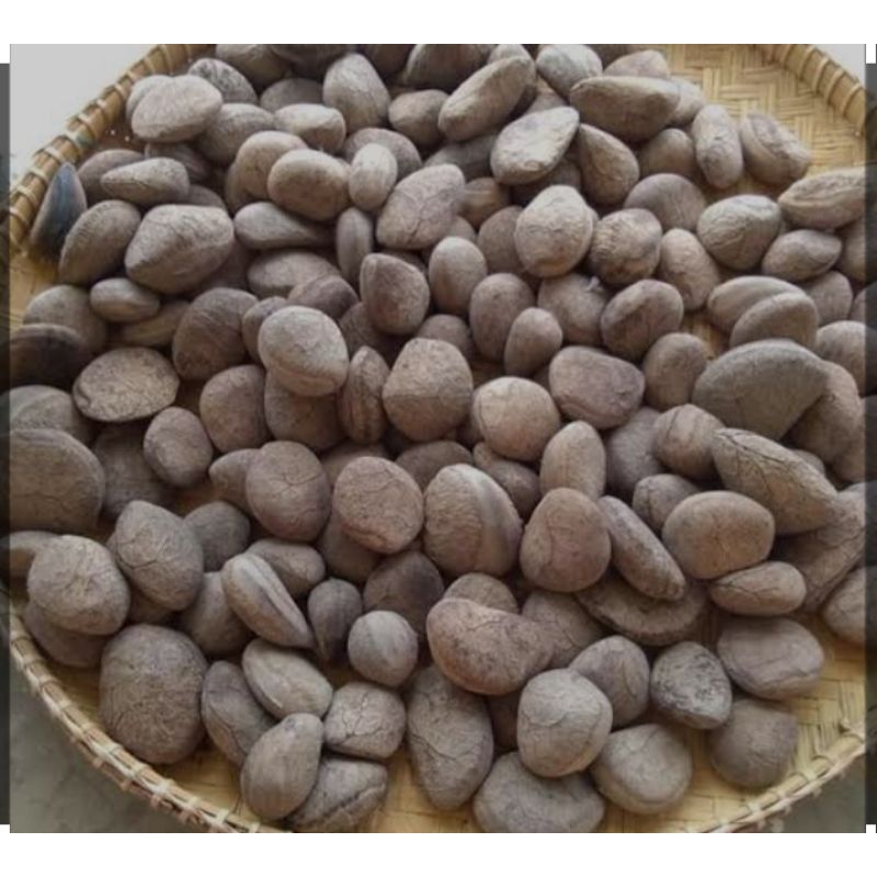 

kluwak/kluwek/1kg