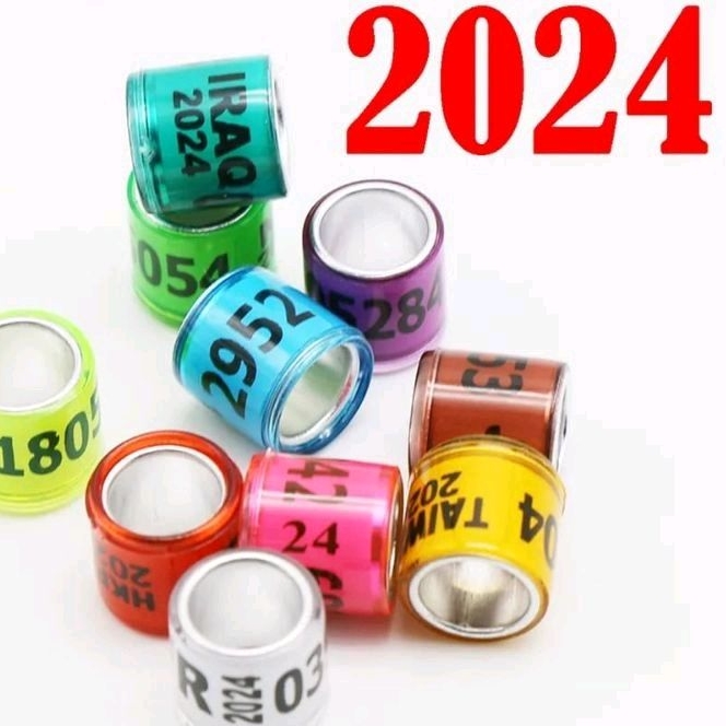 RING MERPATI IMPORT 2024