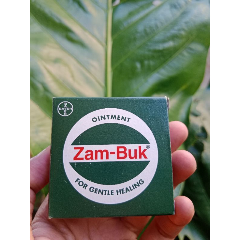 Zambuk Malaysia