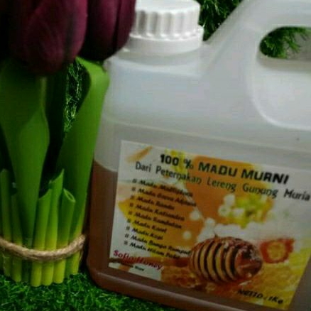 

Madu Manis Muria