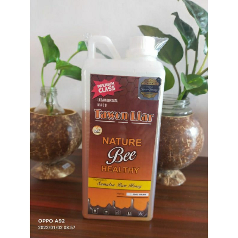 

madu hutan liar