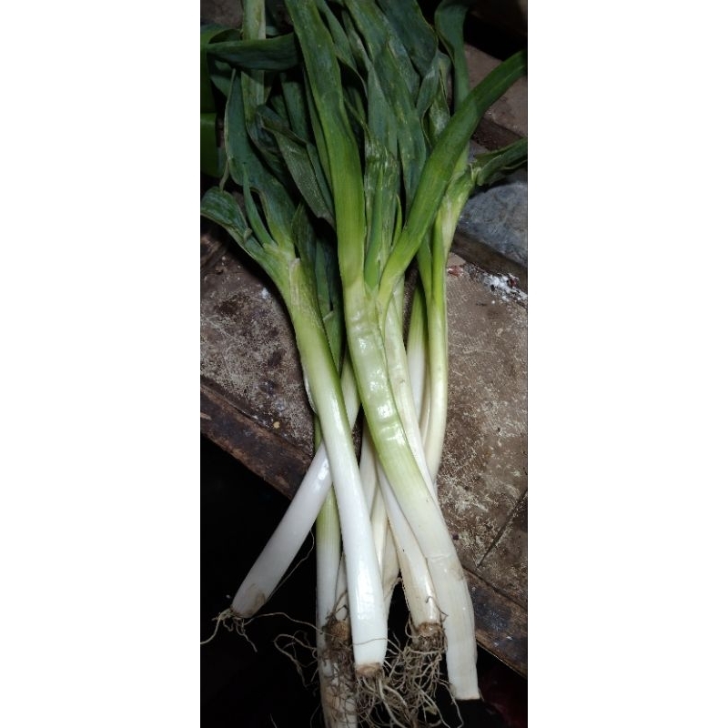 

bawang prey daging 1 kilo Rp 18000