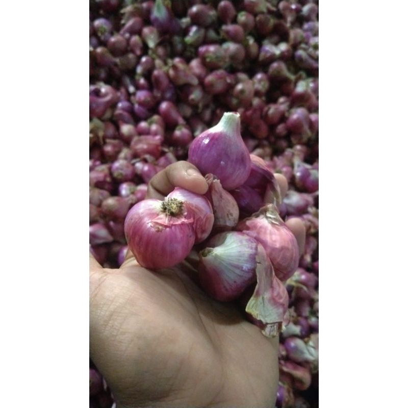 

bawang merah murmer 500gr