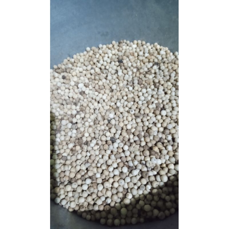 

BUMBU DAPUR TERMURAH (COD) merica murah| Lada putih 500g