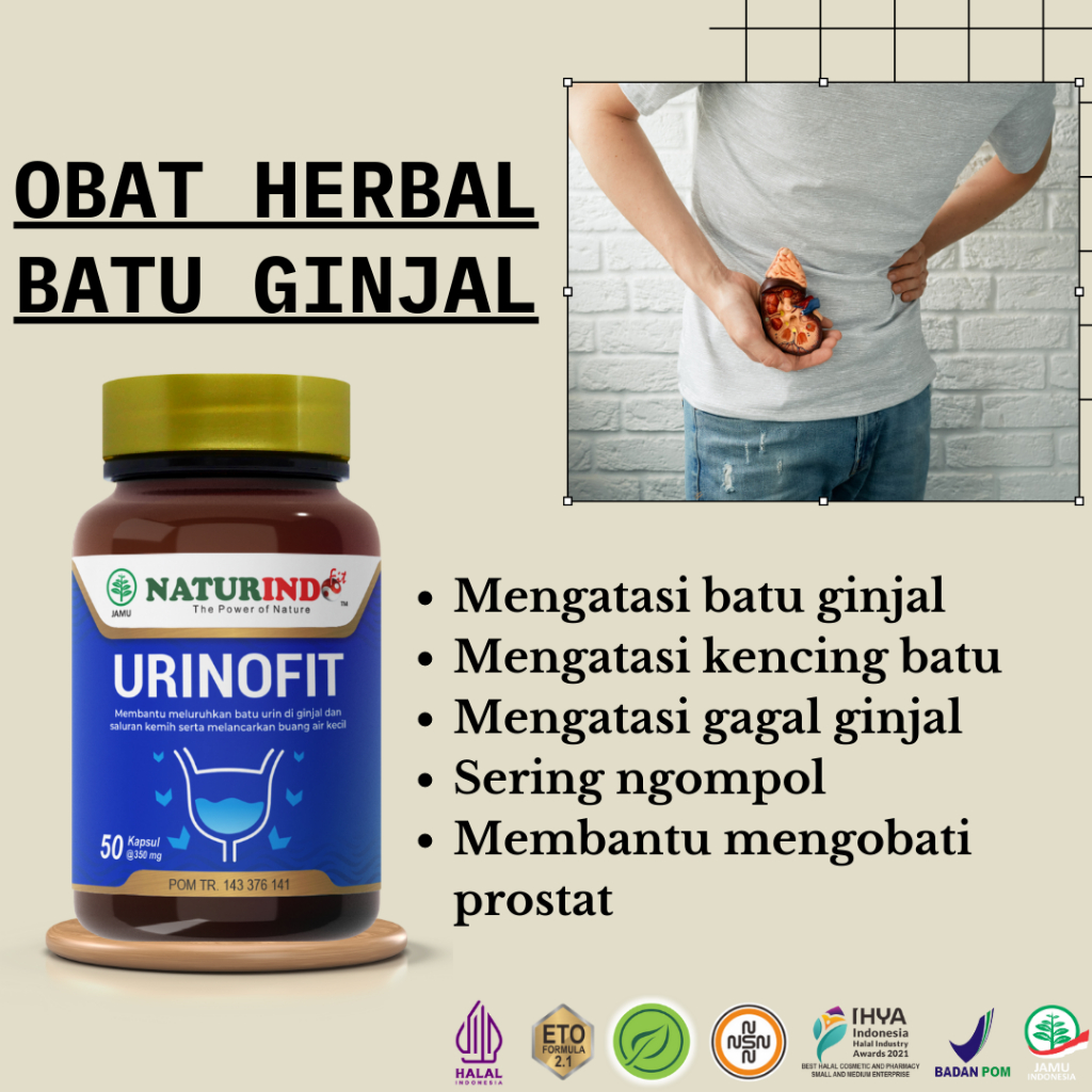 Obat Herbal Batu Ginjal Kencing Batu Gagal Ginjal Sering Ngompol Mengobati Prostat Urinofit Naturind