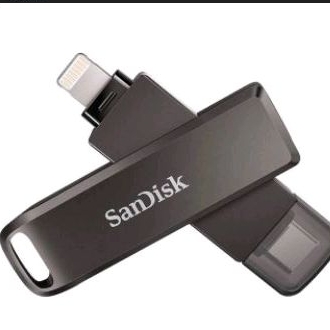 flashdisk sandisk 1TB