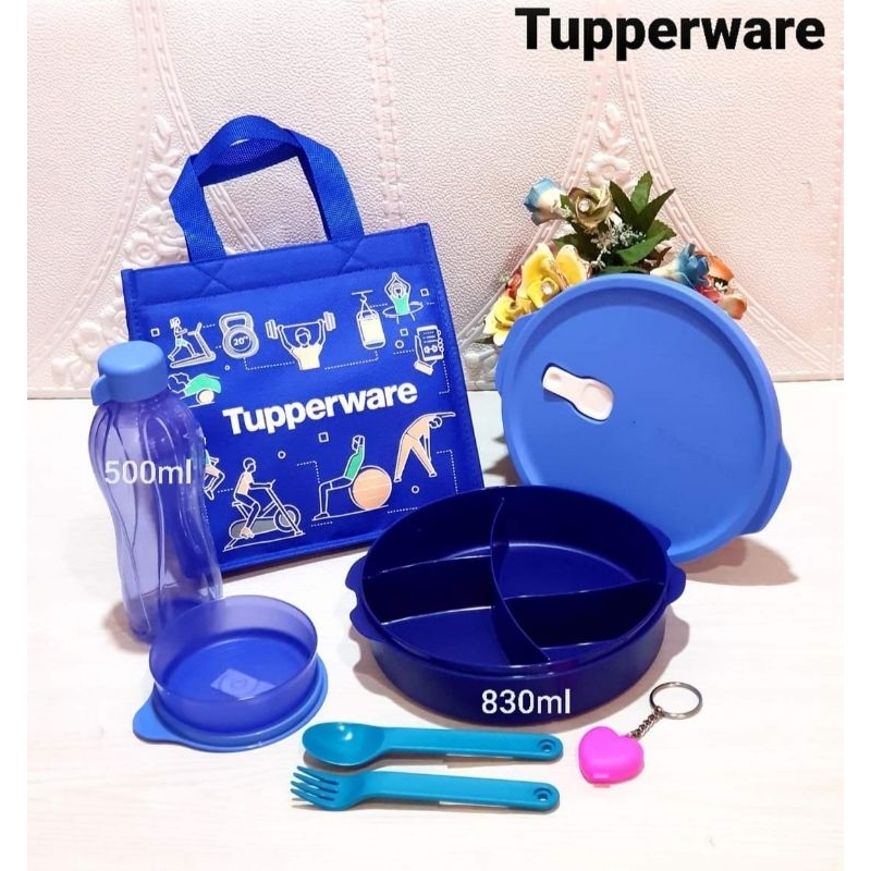 Fit to go tempat bekal cantik Tupperware