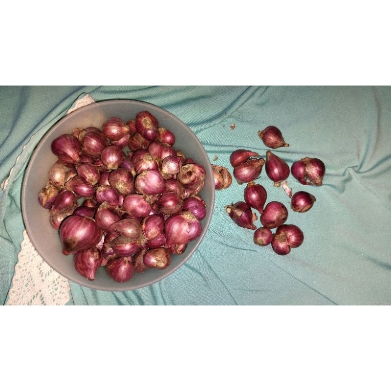 

Bawang merah kemasan 1kg