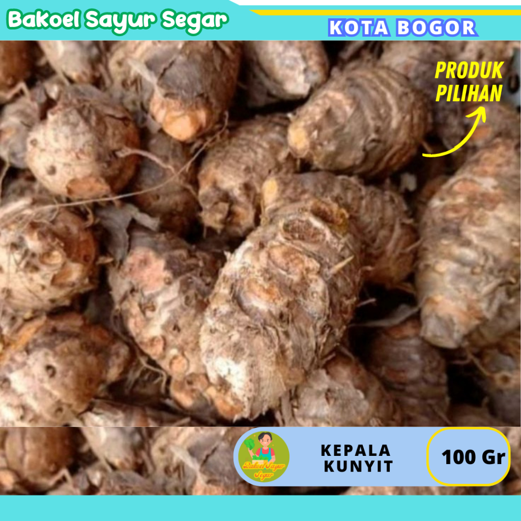 

Kepala Kunyit 100 Gr Sayuran Segar Fresh Sehat Selalu Baru Setiap hari Kota Bogor