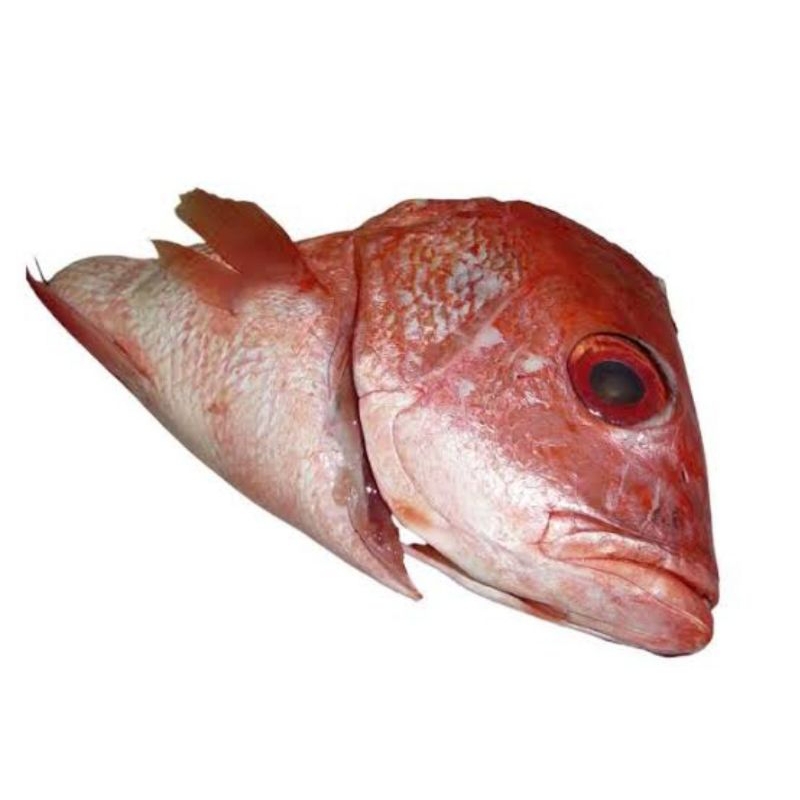 

kepala ikan kakap merah 1 kg