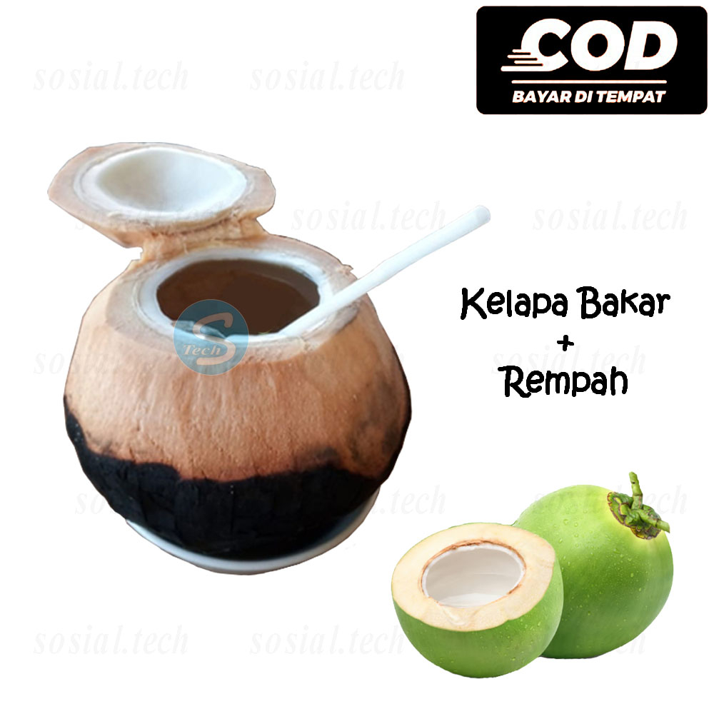 

Kelapa Bakar Berkhasiat Kelapa Muda Bakar Rempah