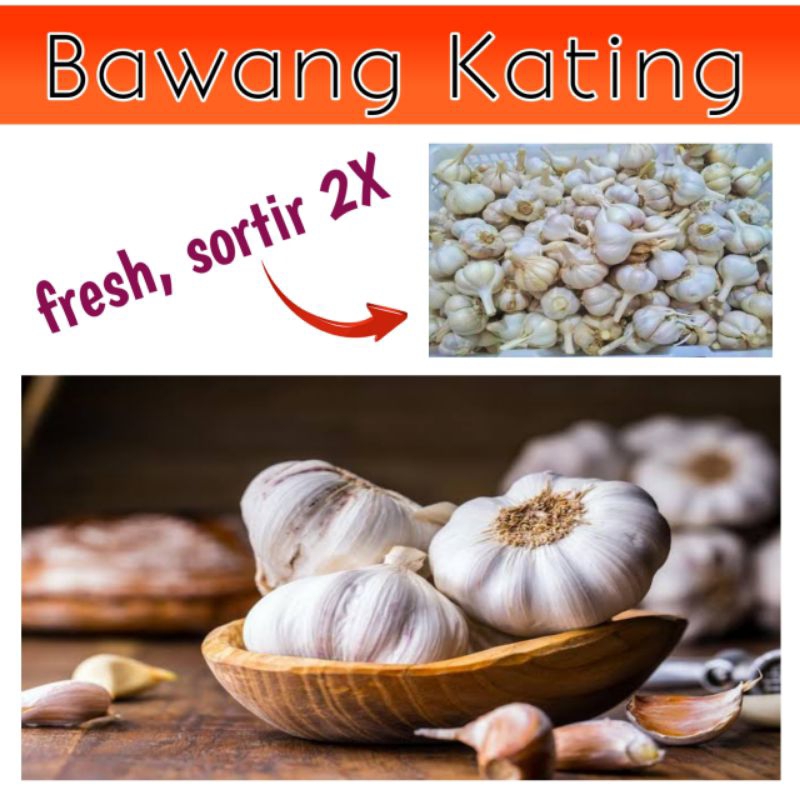 

Bawang Putih Kating 1 kg